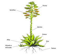 Economía Circular - Proceso sostenible